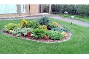 Ландшафтный дизайнв Житковичах